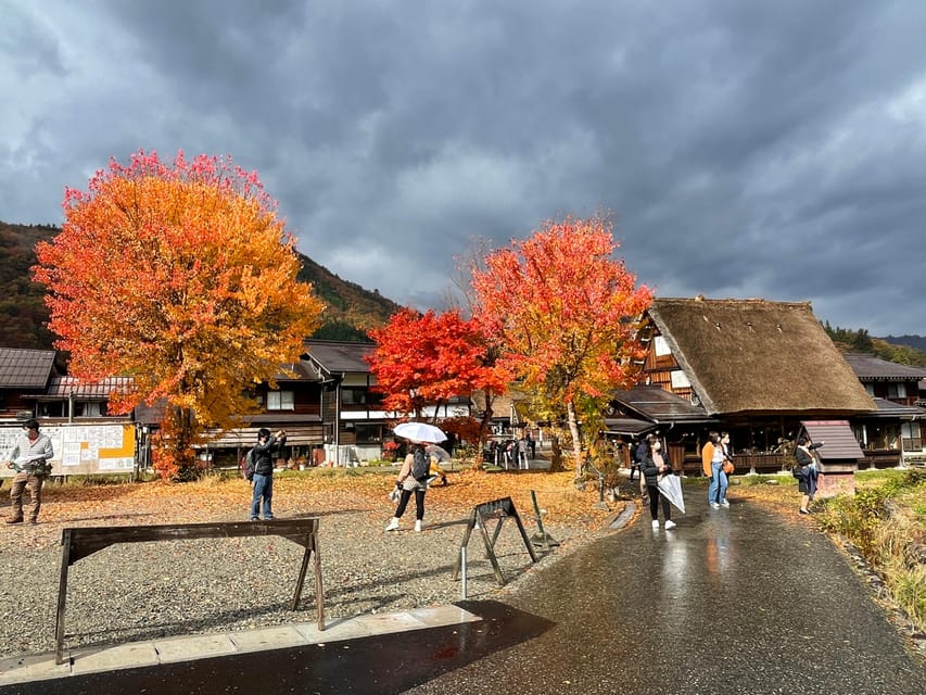 Shirakawa-go UNESCO Half-Day Tour from Takayama - 4 Hours, Small Group, English Guide: How the Day Actually Flows