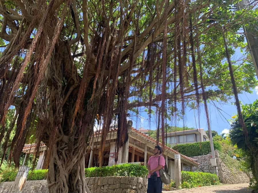 Shuri+Naha: Cycling Tour Explore Water Heritage with E-Bike - Riverside Naha: Where Daily Life Happens Next to Water Heritage