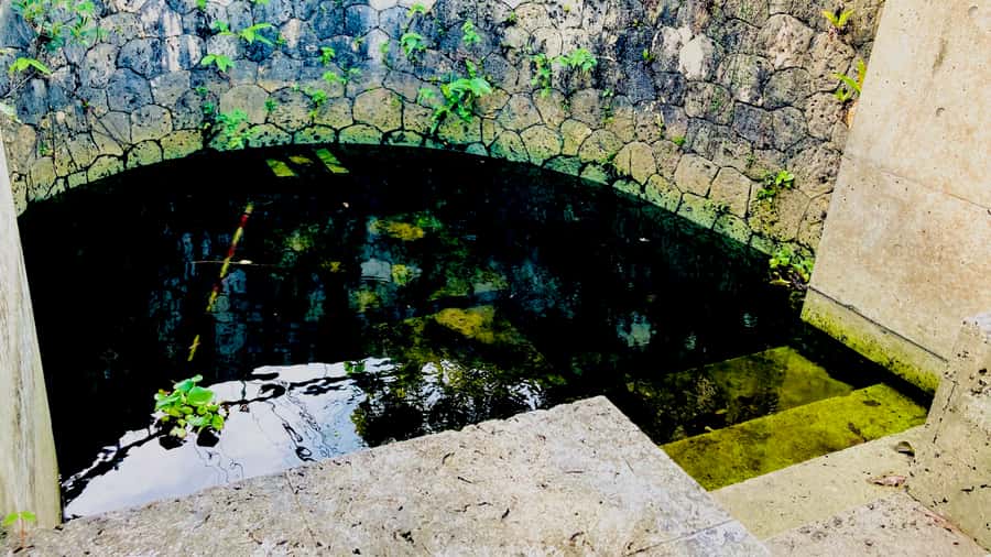 Shuri+Naha: Cycling Tour Explore Water Heritage with E-Bike - Shuri Stops That Blend History and Water: Gate Views and Quiet Corners