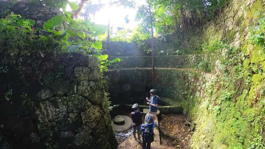 Shuri+Naha: Cycling Tour Explore Water Heritage with E-Bike - Shuri Castle Quarter Walking: Cobblestones, Temples, and Sacred Shrines