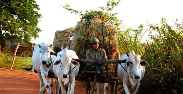 Siem Reap: 3-Hour Ancient Trails Motorbike Tour - Getting off the main road: what makes this tour special