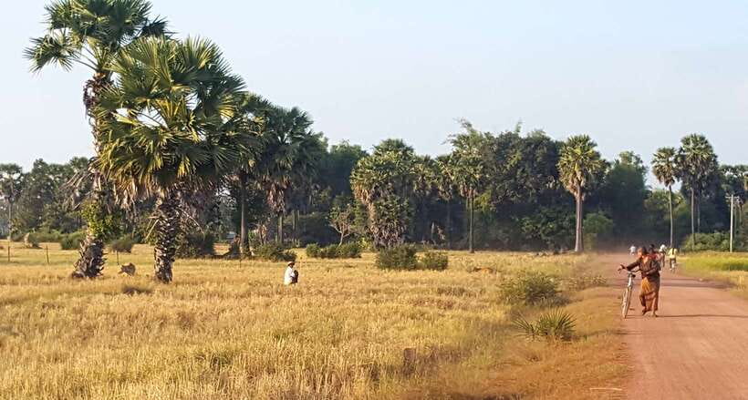 Siem Reap: 3-Hour Ancient Trails Motorbike Tour - Morning or 2 PM: how timing changes the ride