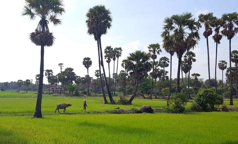 Siem Reap: 3-Hour Ancient Trails Motorbike Tour - Dust, heat, and road feel: the only real downside
