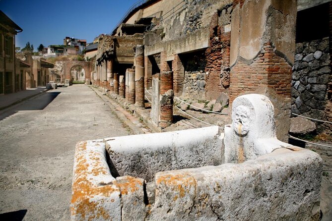 Skip the Line Ancient Herculaneum Walking Tour with Top Rated Guide - Key highlights worth your attention