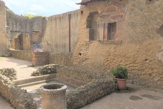 Skip the Line Ancient Herculaneum Walking Tour with Top Rated Guide - The College of the Augustales: power and public space cues