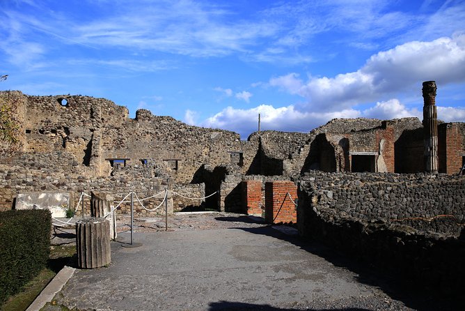 Skip-the-Line Exclusive Private Ancient Pompeii & Vesuvius Volcano Full Day Tour - Vesuvius National Park: the hike for views and the weather reality check