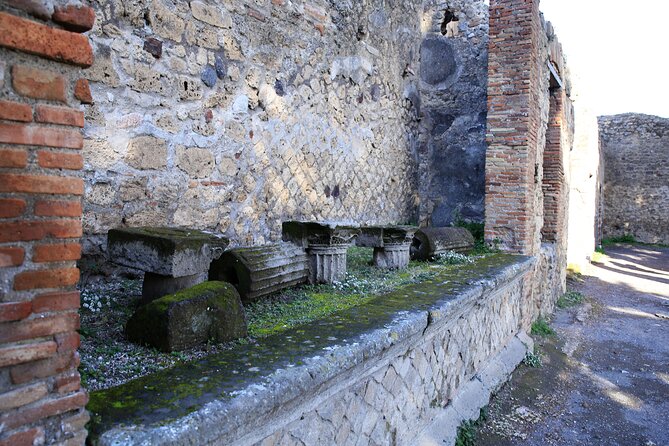 Skip-the-line Exclusive Private Full-Day Complete Ancient Pompeii Guided Tour - Private Skip-the-Line Pompeii: what you actually get in 4 hours