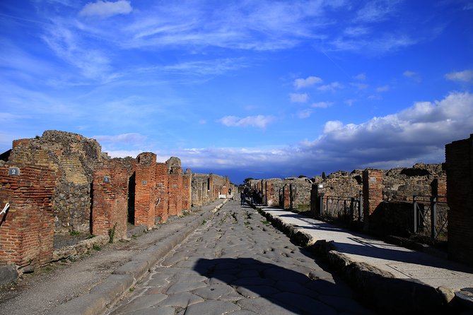 Skip-the-line Exclusive Private Full-Day Complete Ancient Pompeii Guided Tour - Pompeii Archaeological Park: reading the city, not just touring buildings