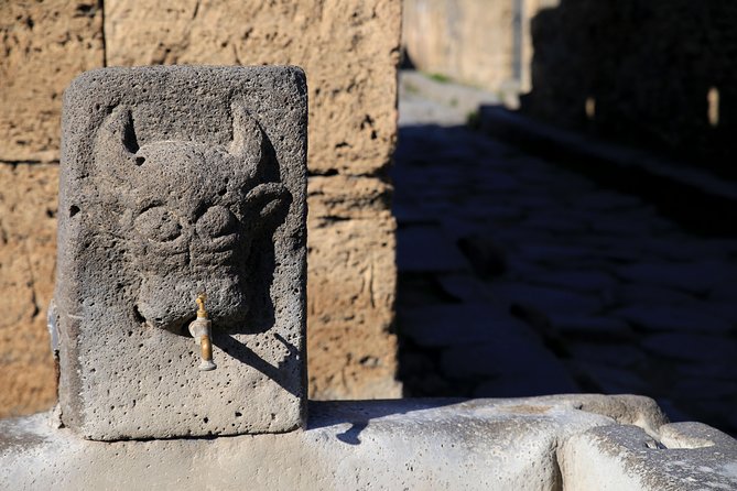 Skip-the-Line Half-Day Private Tour Ancient Pompeii Highlights with Native Guide - Skip-the-Line Entry: Your Best Use of Time