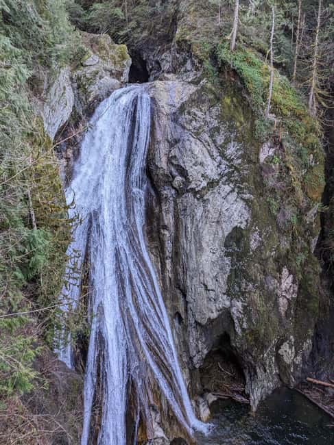 Snoqualmie, Twin Falls & Ancient Forest (Transport Included) - Key things I’d circle on your planning checklist