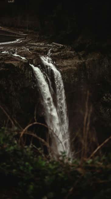 Snoqualmie, Twin Falls & Ancient Forest (Transport Included) - Should you book it?