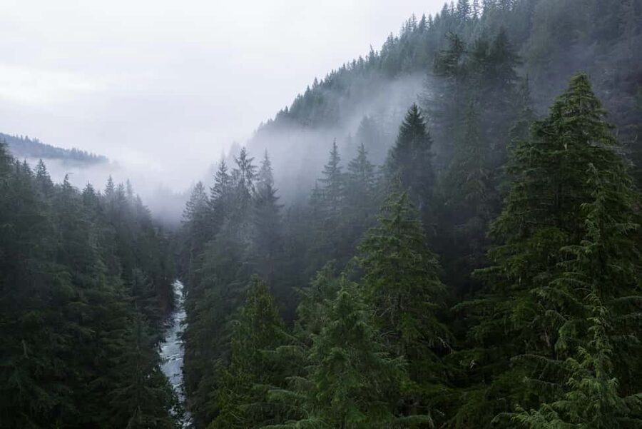 Snoqualmie, Twin Falls & Ancient Forest (Transport Included) - Guided, small-group support makes a bigger difference than you think