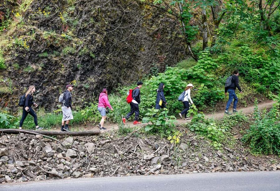 Snoqualmie, Twin Falls & Ancient Forest (Transport Included) - Time, transport, and price: does $66 feel fair?