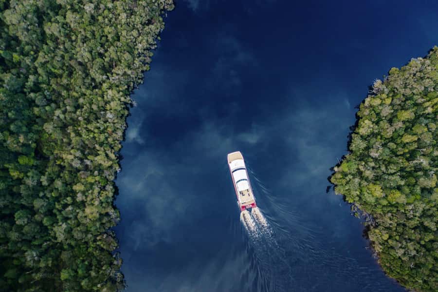Strahan: World Heritage Cruise on Gordon River with Lunch - Strahan Morning Cruise: Calm Rhythm, Good Value