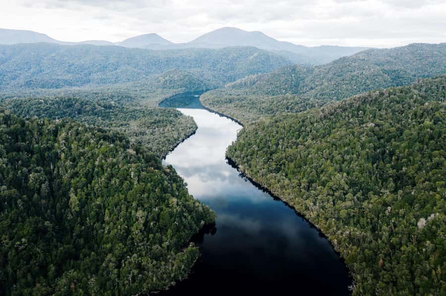 Strahan: World Heritage Cruise on Gordon River with Lunch - Sarah Island: Penal Settlement Stories, Guided and Human
