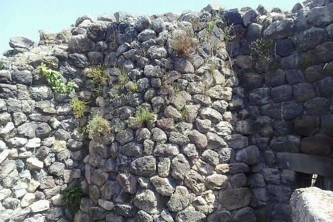 Su Nuraxi of Barumini World Heritage UNESCO site Tour - Price and what you still pay: is €83.88 good value?