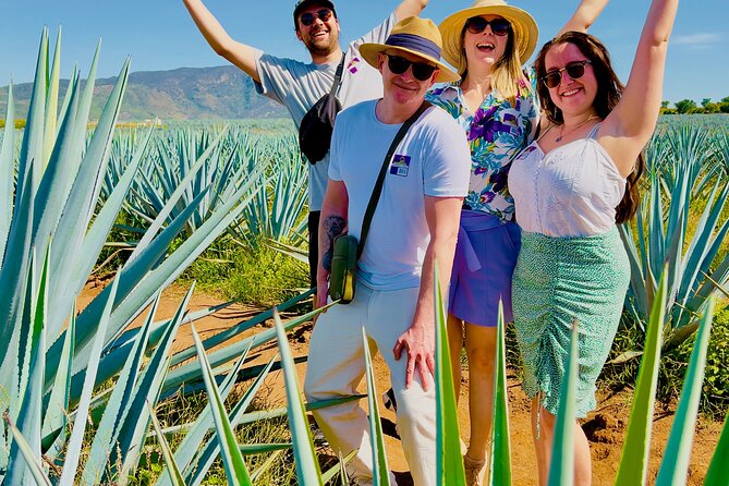 Tequila/Guachimontones Tour-cultural heritage route - Guachimontones: circular pyramids and an interpretive center that pays off