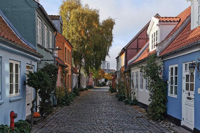 The Ancient Viking Stronghold of Aros: A Self-Guided Audio Tour in Aarhus - The Viking thread: what you’ll learn (and what you can skip)