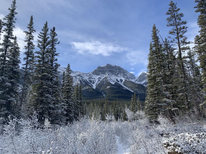 The Canmore HISTORY TOUR - Cowboys and Coal Miners 2H Walk - Should you book the Canmore HISTORY TOUR: Cowboys and Coal Miners?