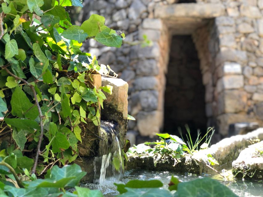 The Limestone Heritage Park and Gardens (Entry Ticket) - The Limestone Heritage Park in Siggiewi: why this place feels different