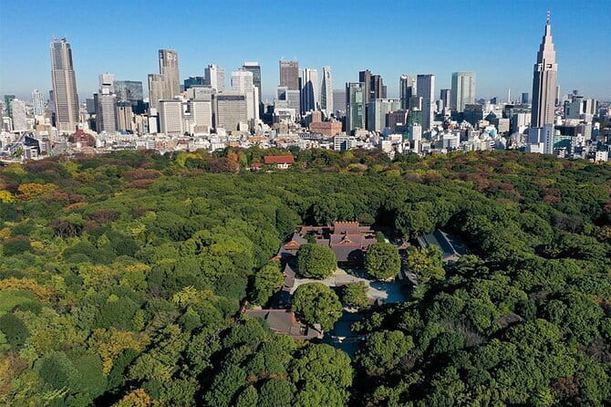Tokyo: Meiji Shrine Walking Tour — Shintoism & Imperial System - Harajuku Gate to the Main Area: Torii, Sake Barrels, and Purification