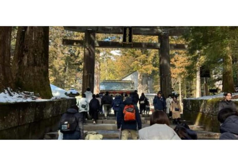 Tokyo: Nikko World Heritage Private Day Trip Hotel Pick-up - Key Highlights You’ll Care About