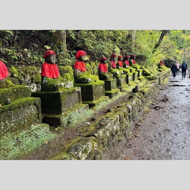 Tokyo: Nikko World Heritage Private Day Trip Hotel Pick-up - Luxury Door-to-Door Nikko Day Without Train Headaches