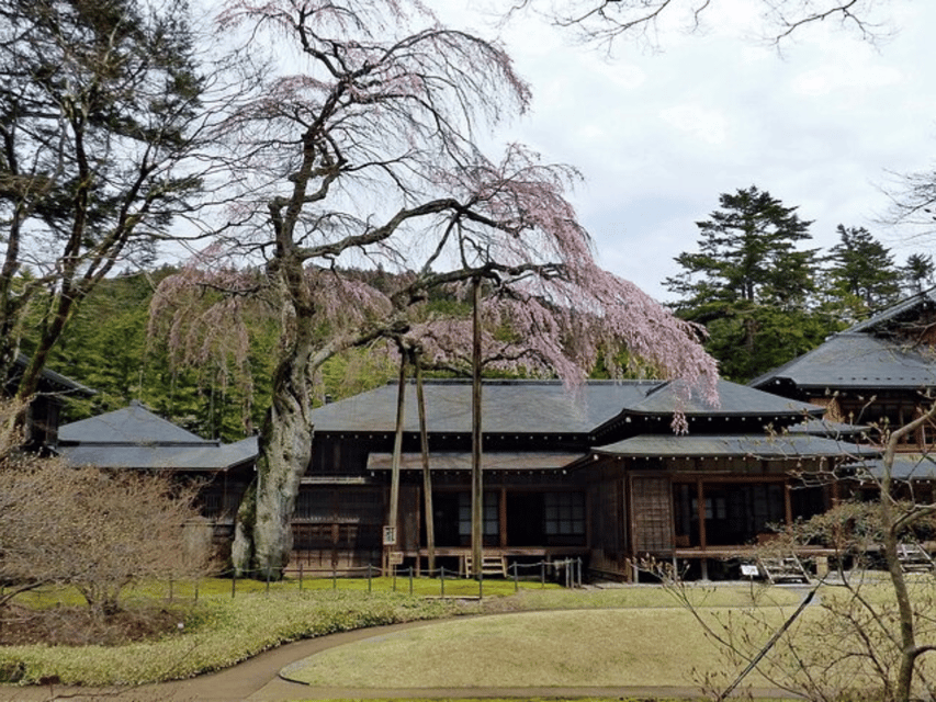 Tokyo: Nikko World Heritage Private Day Trip Hotel Pick-up - Akechidaira, Kegon Falls, and Lake Chūzenji: How the Views Get Managed