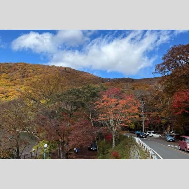 Tokyo: Nikko World Heritage Private Day Trip Hotel Pick-up - Price, Vehicle Comfort, and What $390 Covers