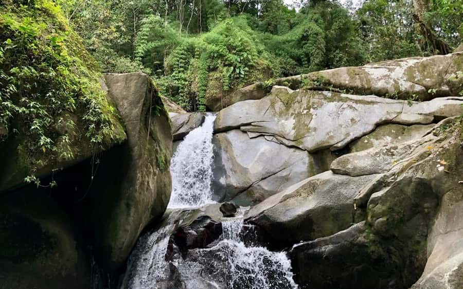 Trekking History and Indigenous Heritage in Minca + Cacao & Coffee + Waterfall - Tayrona Heritage Trails + Arhuaco Cacao and Coffee: The Real Point of This Trek