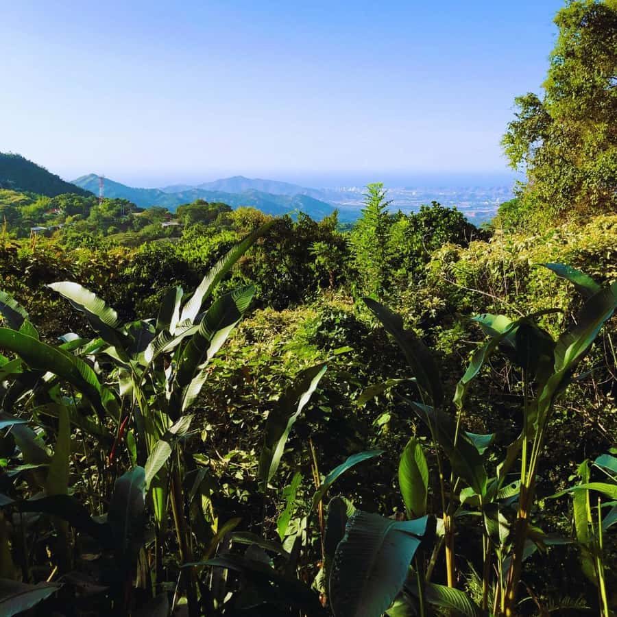 Trekking History and Indigenous Heritage in Minca + Cacao & Coffee + Waterfall - Who This Tour Fits Best (and Who Might Skip It)