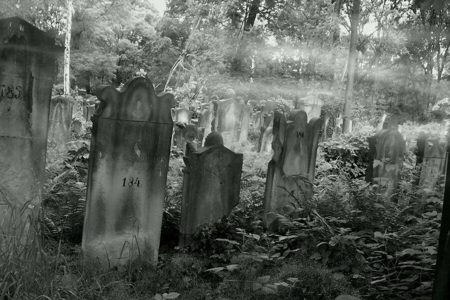 True Crime Philadelphia and History Tour - Who should book this True Crime and History walk?