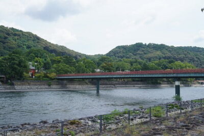 Uji Tea Ceremony and UNESCO Heritage Walking Tour - Getting Started at Uji Station and Ending at Uji Bridge