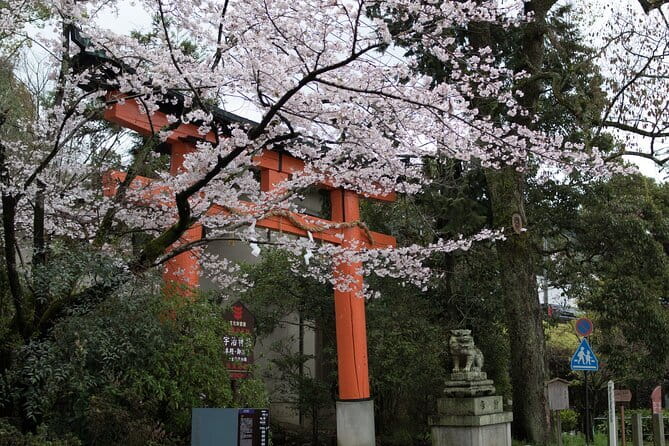 Uji Tea Ceremony and UNESCO Heritage Walking Tour - Asagiri and Tachibara Suspension Bridges: Short Walk, Good Views