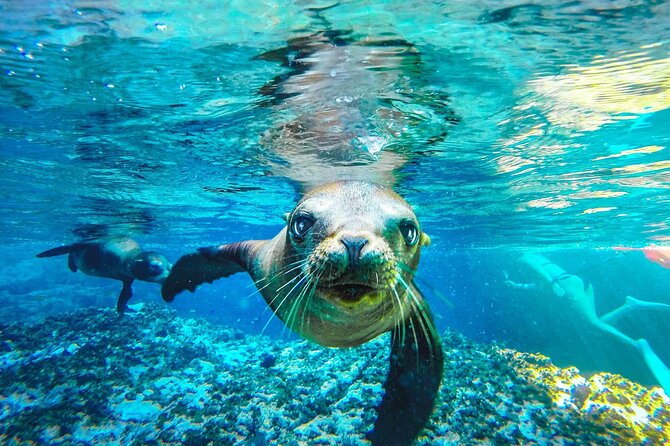 UNESCO World Heritage Site: 1 Day Coronado Island from Loreto Adventure - Quick hits for Coronado Island from Loreto Adventure