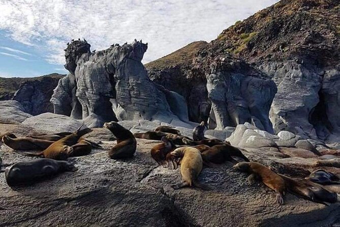 UNESCO World Heritage Site: 1 Day Coronado Island from Loreto Adventure - Isla Carmen: the sea lions and rock formations phase