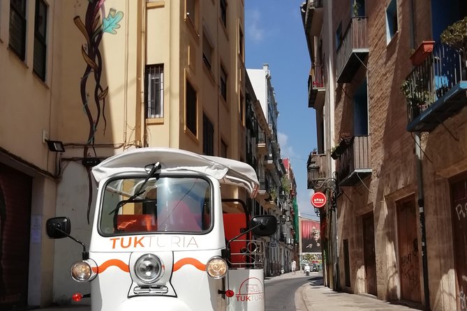 Valencia: Tuk Tuk Historical Tour - Key highlights to look for