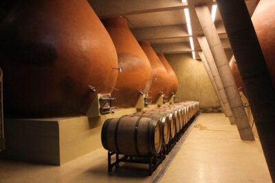 Valparaiso & Casablanca : Wine, Gastronomy and Living Culture - Casablanca Valley wine tasting: what you’re really buying