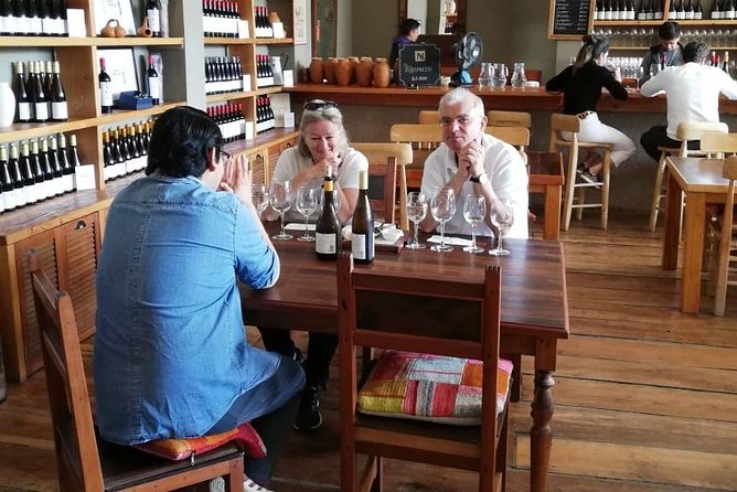 Valparaiso & Casablanca : Wine, Gastronomy and Living Culture - The real value: private transport plus a guide who handles the day