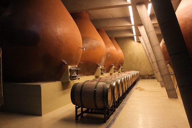 Valparaiso & Casablanca : Wine, Gastronomy and Living Culture - Casablanca Valley wine tasting: what you’re really buying