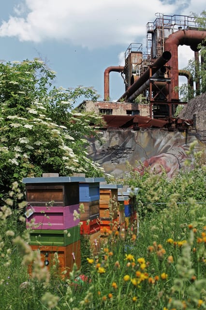 Völklingen: Völklingen Ironworks World Heritage Site Ticket - Planning your route: how to make a self-guided day feel smooth