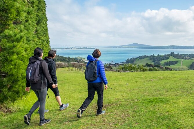 Waiheke Island History and Heritage Tour - Native bush to a pa site: medicinal plants, kumara pits, and native birds