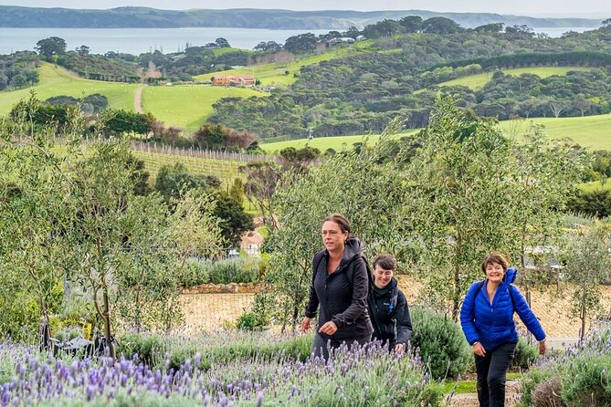 Waiheke Island History and Heritage Tour - Lunch stop and optional tastings before the 4pm ferry