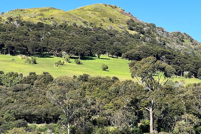 Waiheke Island History and Heritage Tour - FAQ