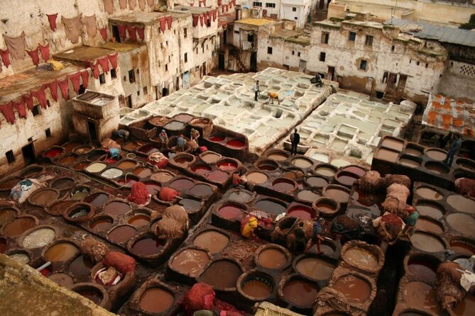 walking day : private excursion in the ancient city of Fez - Key highlights you’ll feel on the ground