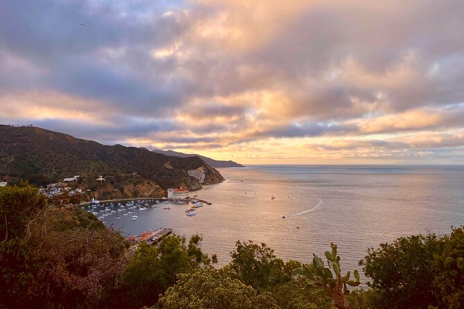 Walking History Tour on Catalina Island - Price and value: what $40 gets you in real time