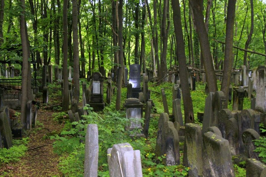 Warsaw Jewish Heritage Private Tour in Retro Fiat - Jewish Cemetery Walk: Thousands of Graves and a Quiet Kind of Understanding