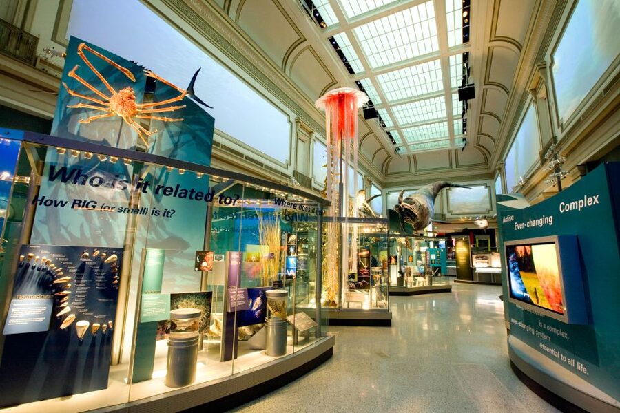 Washington DC: National Museum of Natural History Tour - Should you book this Natural History Museum tour?