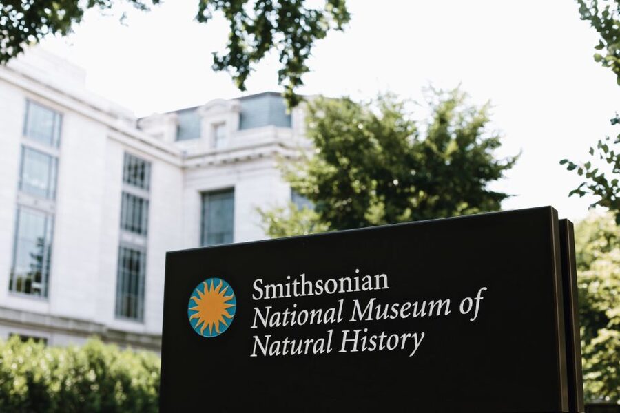 Washington DC: National Museum of Natural History Tour - A 2.5-hour plan built around the museum’s biggest hits