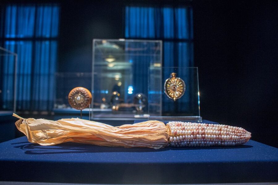 Washington DC: National Museum of Natural History Tour - Pricing and value: is $86 for highlights actually fair?